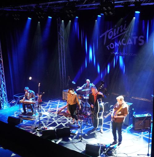 Det svingte med Toini and the Tomcats