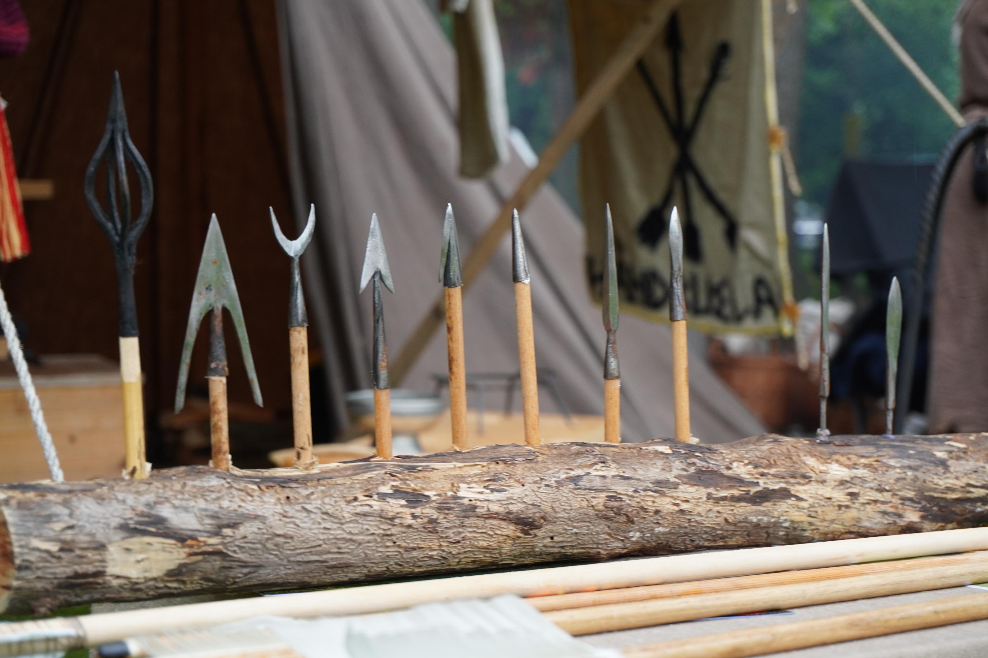 Pilene som formet vikingtiden