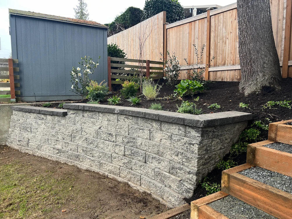 Curved gray stone retaining wall with plants and shrubbery on top, wooden stairs to right, and a blue shed in background.
