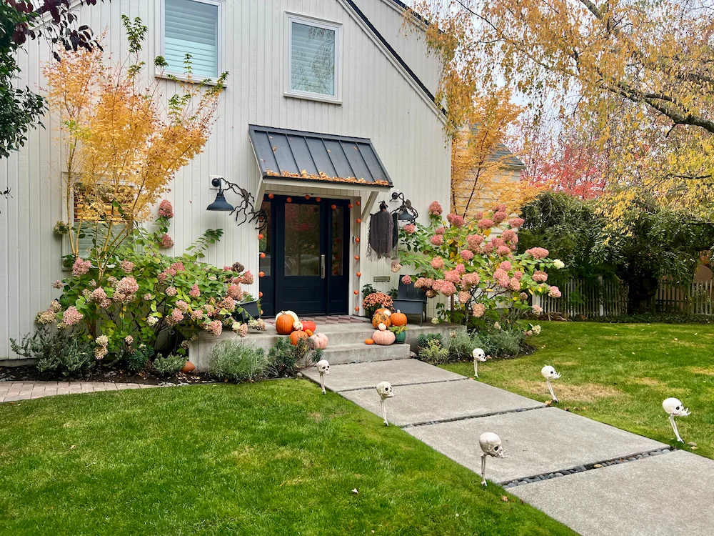 Front entrance of a house decorated for Halloween with pumpkins, skulls on stakes lining the walkway, and fall foliage.