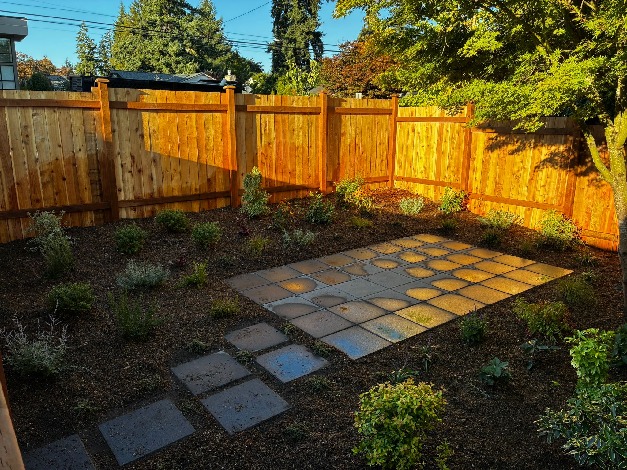 Backyard garden with small plants, a wooden fence, and square stone pavers reflecting sunlight.