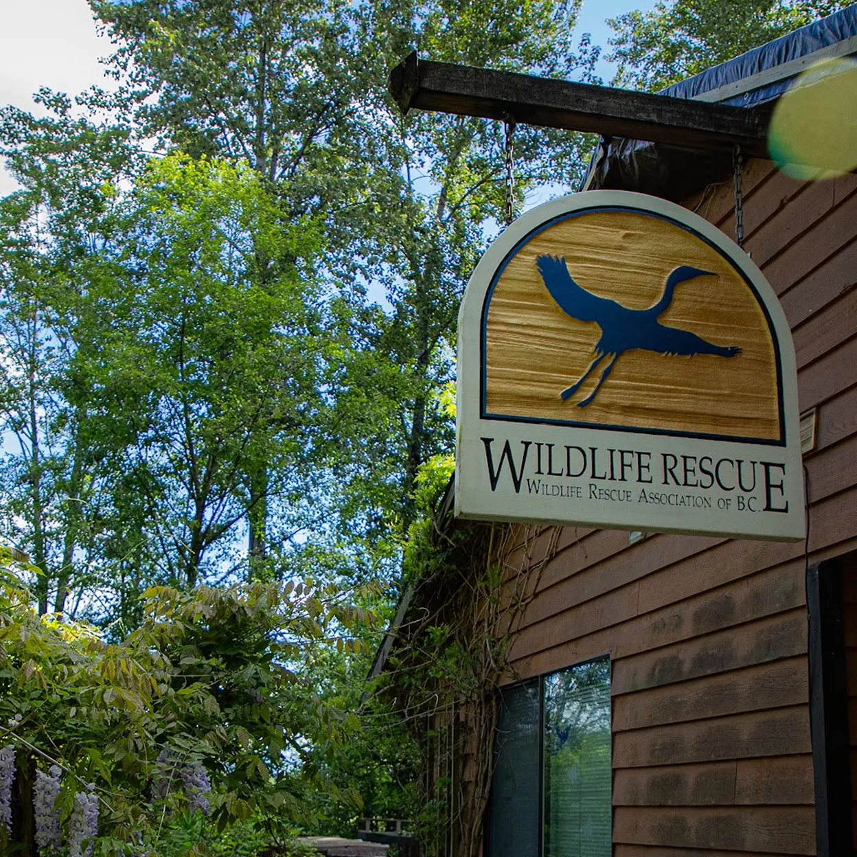 A photograph of the Wildlife Rescue Association facility.