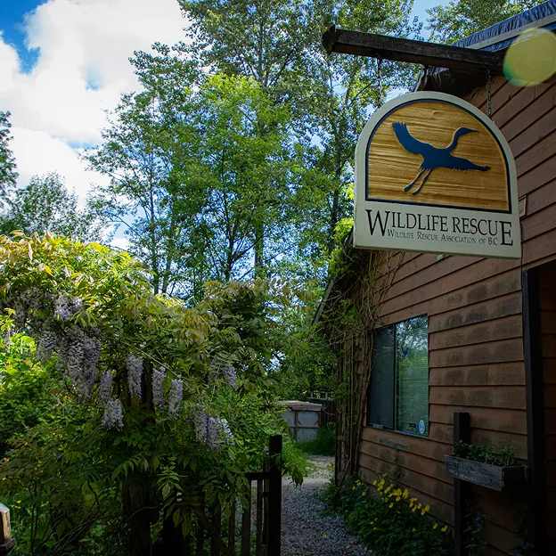 Our facility surrounded by trees.