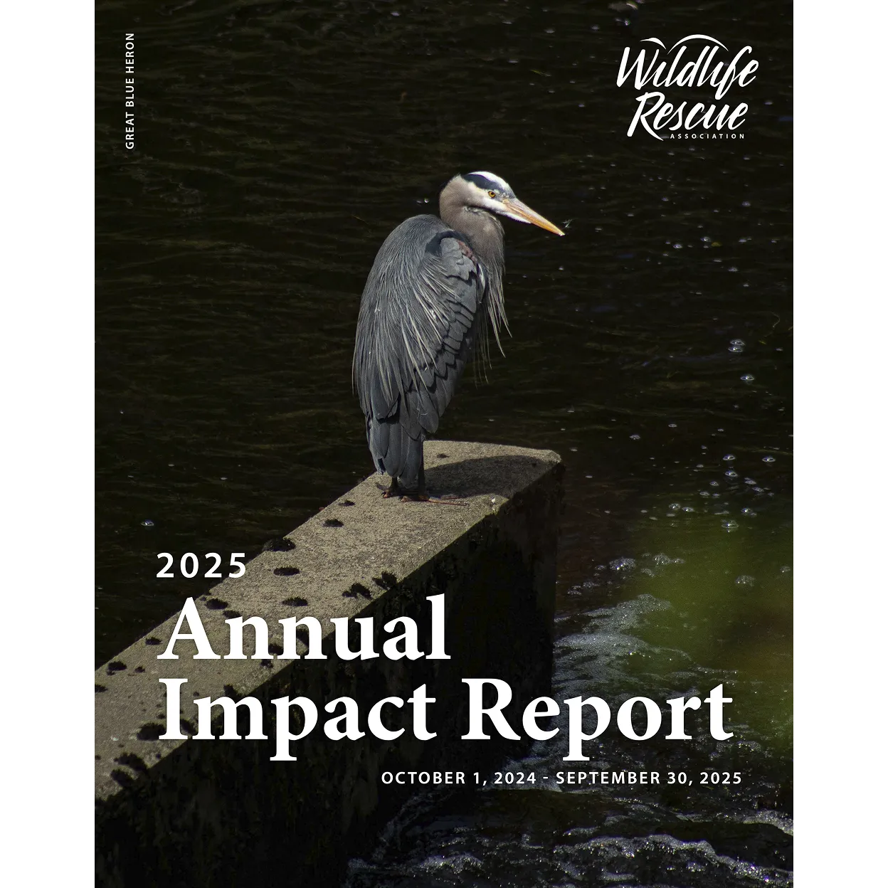 2025 Annual Impact Report cover featuring a heron