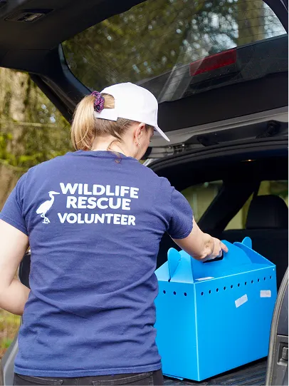 A team member transporting wildlife.