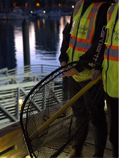 Staff with a rescue net.
