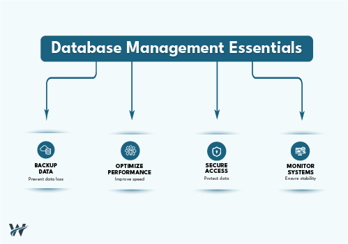 Database Management: Why It Is Critical for Business Performance