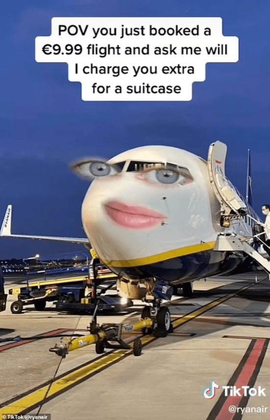 Ryanair TikTok plane