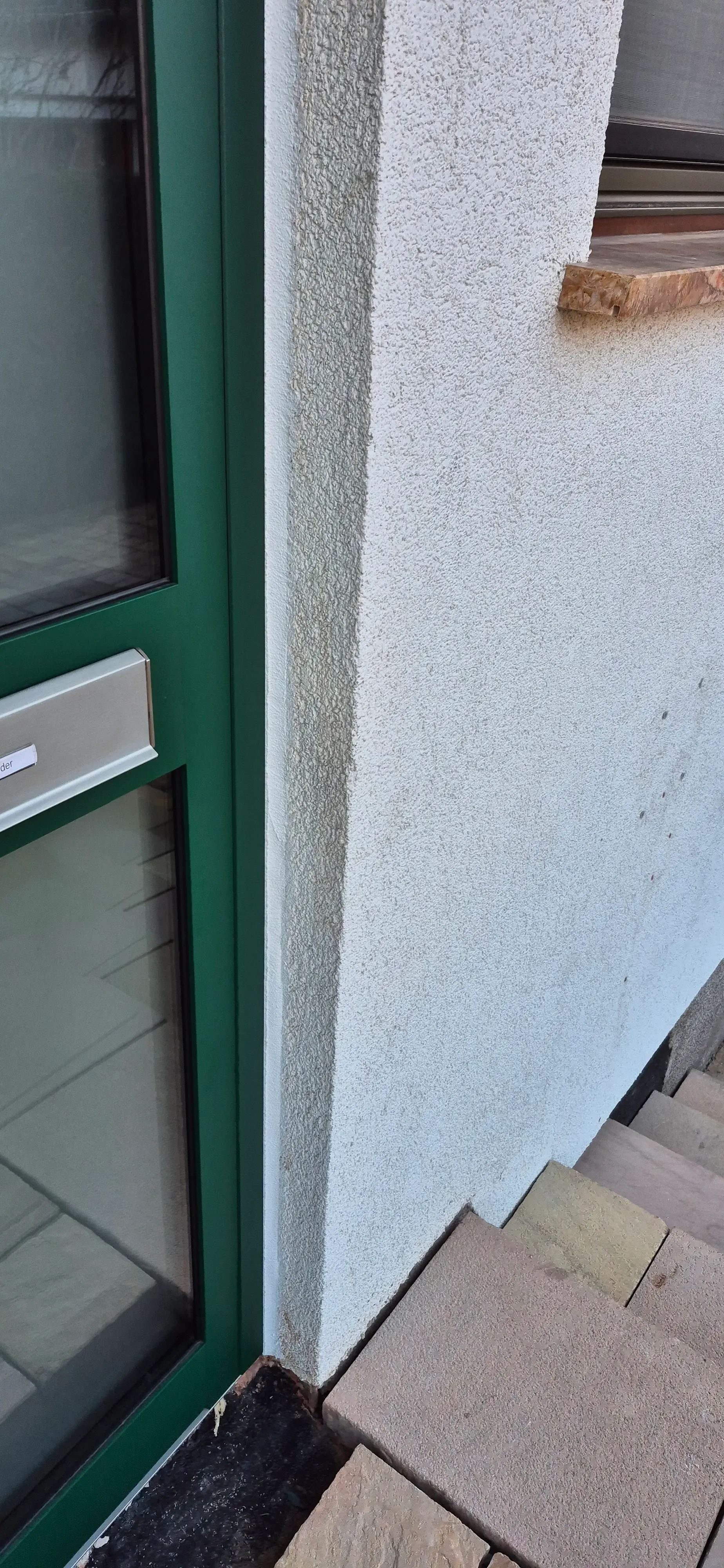 Detailaufnahme der modernen grünen Aluminium-Haustür mit Seitenteil und sauberem Wandanschluss in Viernheim