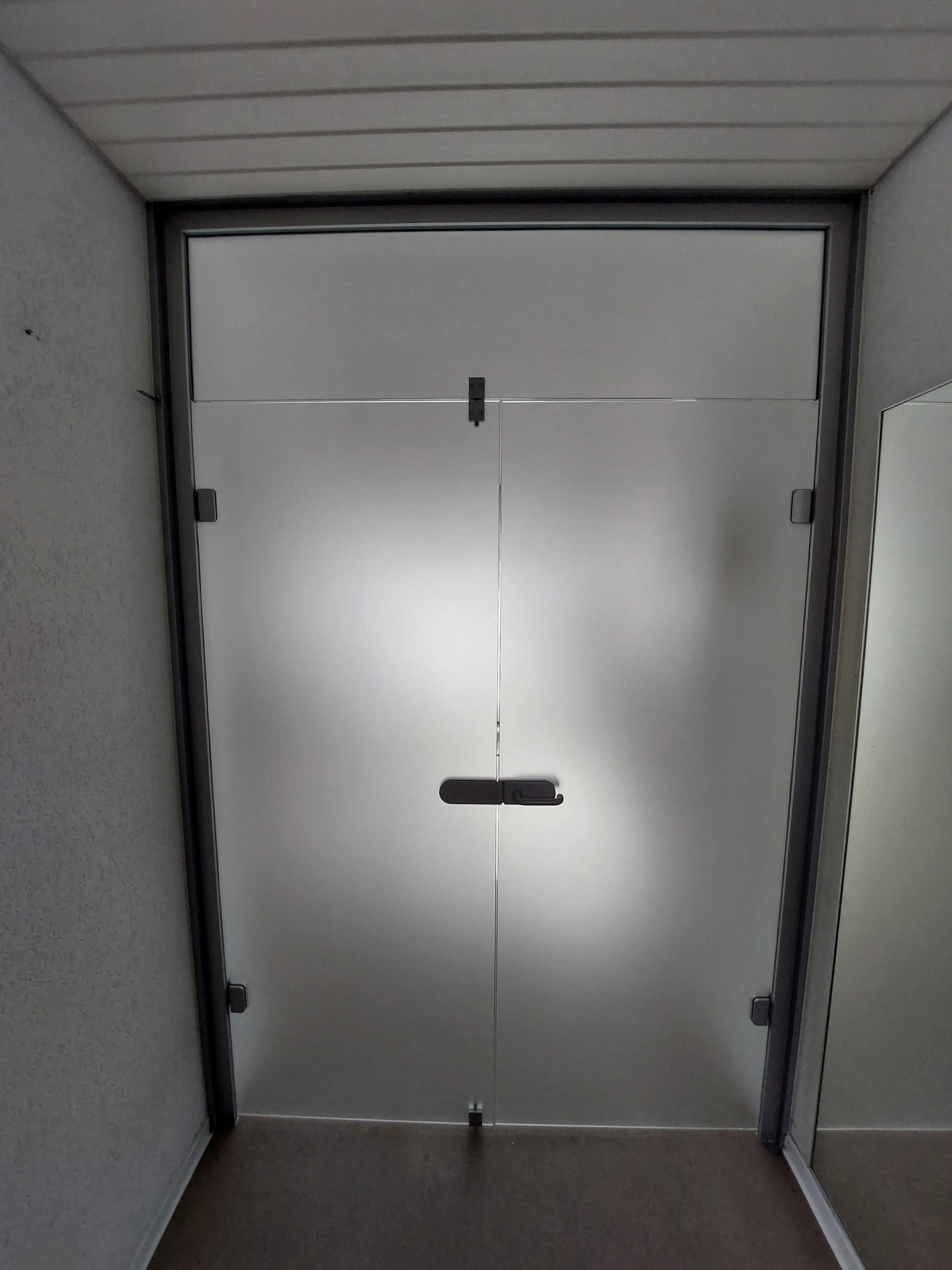 Geschlossene satinierte Ganzglas-Türanlage mit Oberlicht und Aluminiumrahmen im Eingangsbereich eines Wohnhauses in Viernheim.
