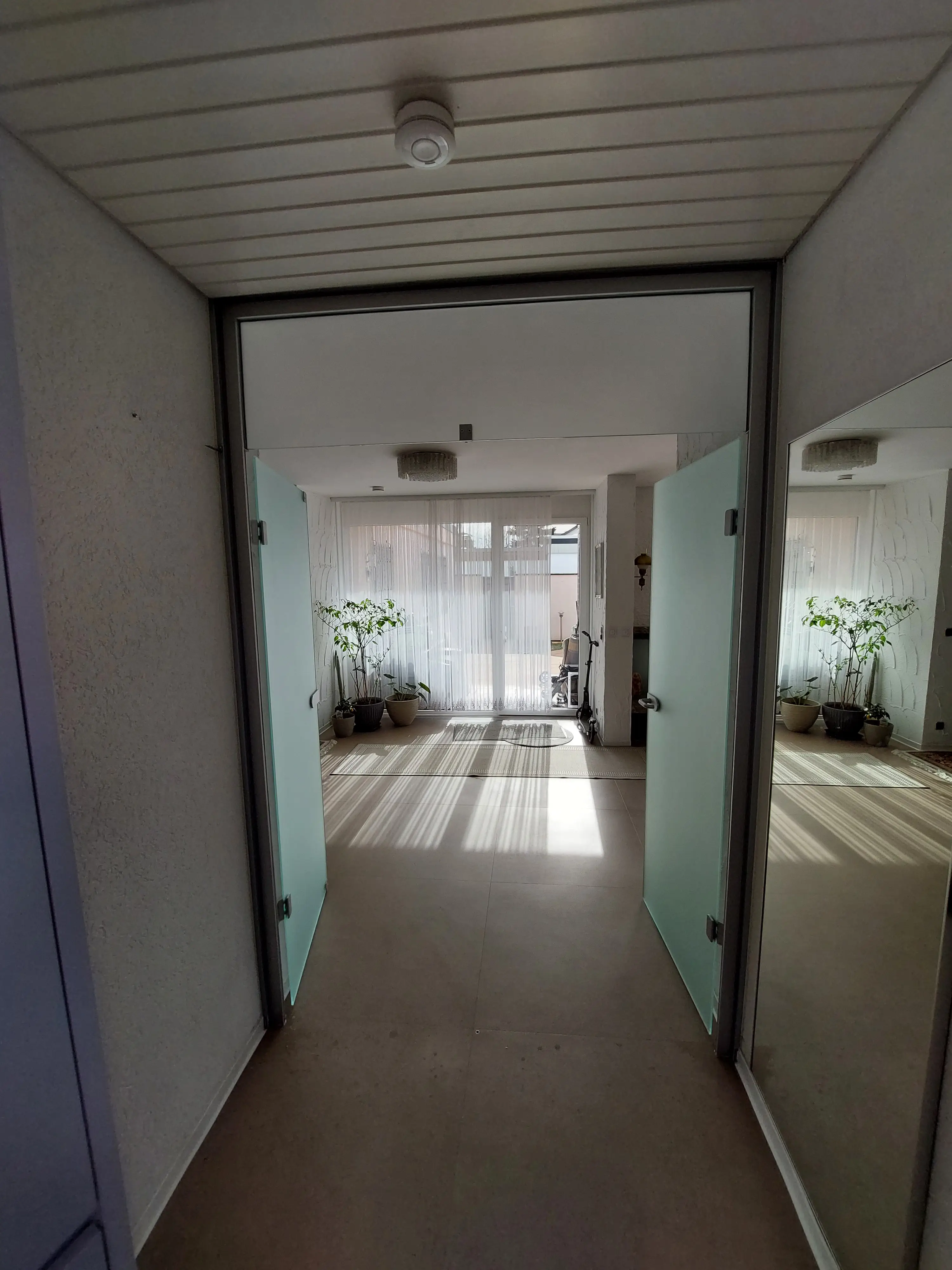 Geöffnete satinierte Ganzglas-Türanlage mit Oberlicht und Aluminiumrahmen als moderner Übergang zwischen Eingangsbereich und Wohnraum.