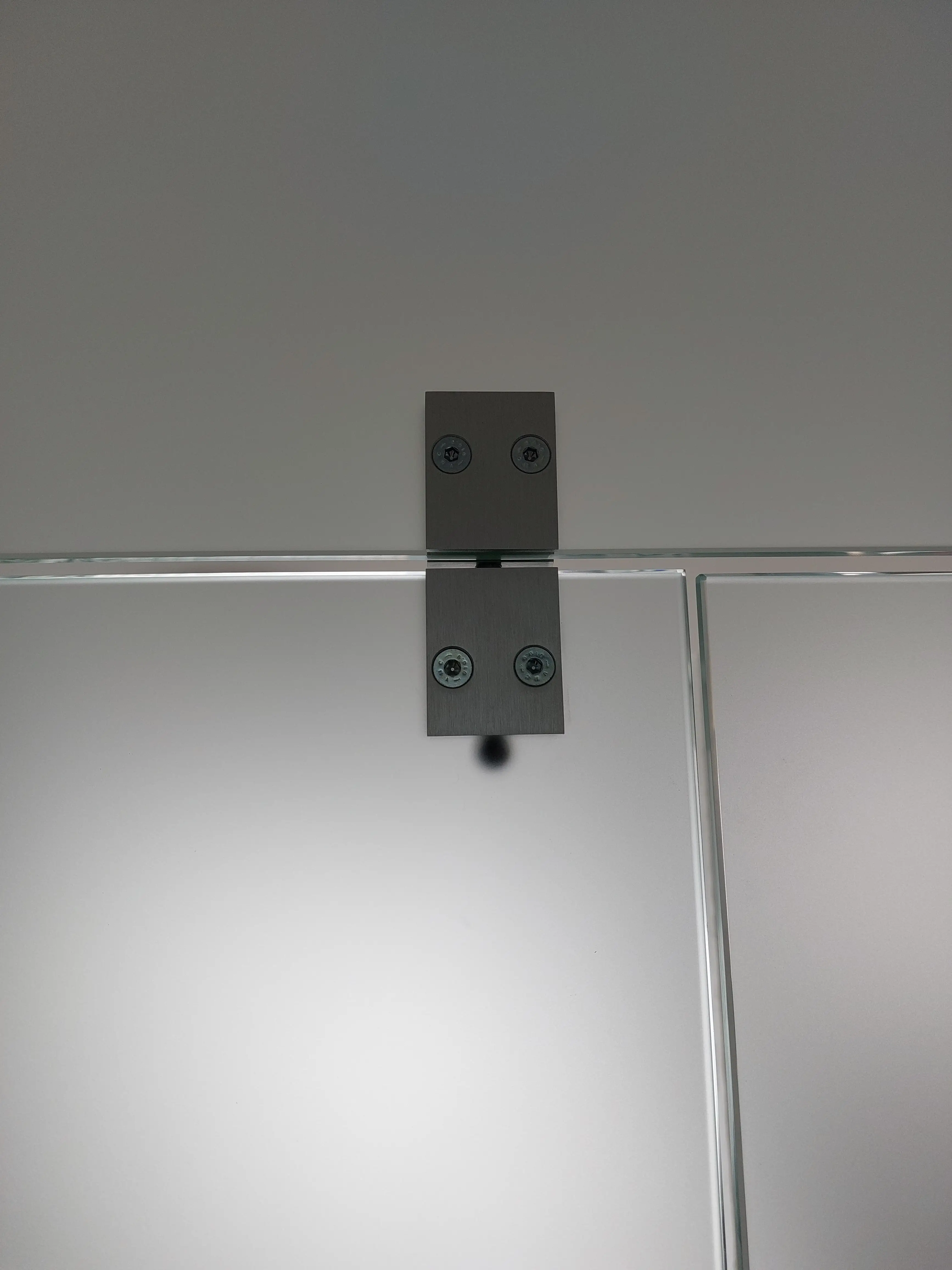 Detailaufnahme der Edelstahl-Zuhaltung am satinierten Glas-Seitenteil einer modernen Ganzglas-Türanlage.