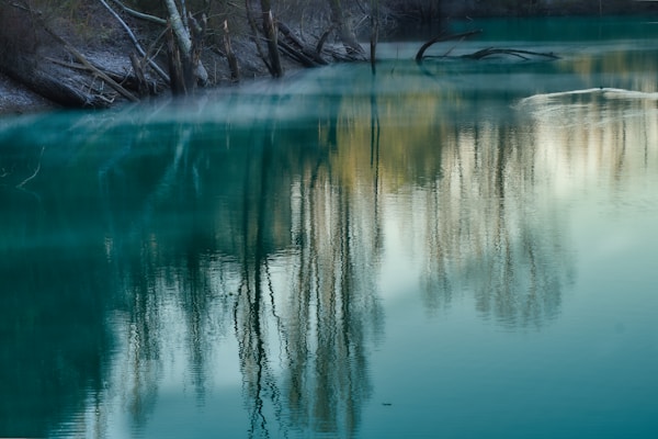 image of satisfied business client with accountant