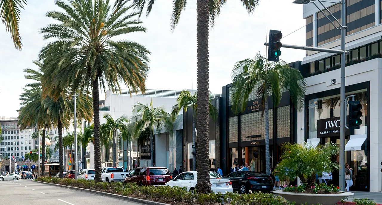 Green tea leaves up close
