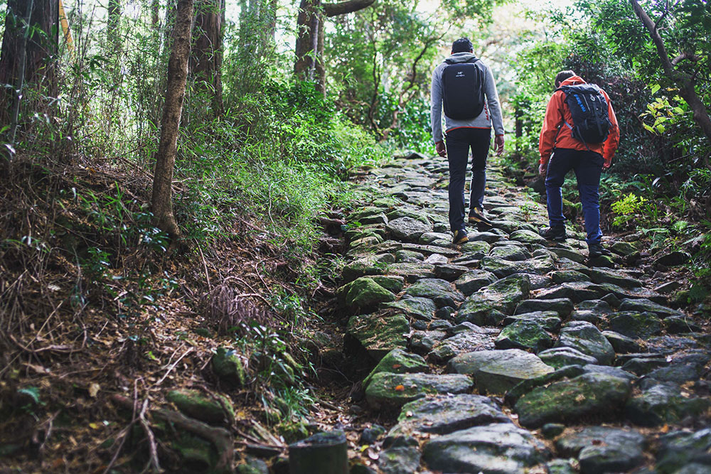The ancient stone-paved section of the Old Tokaido winding through the forest