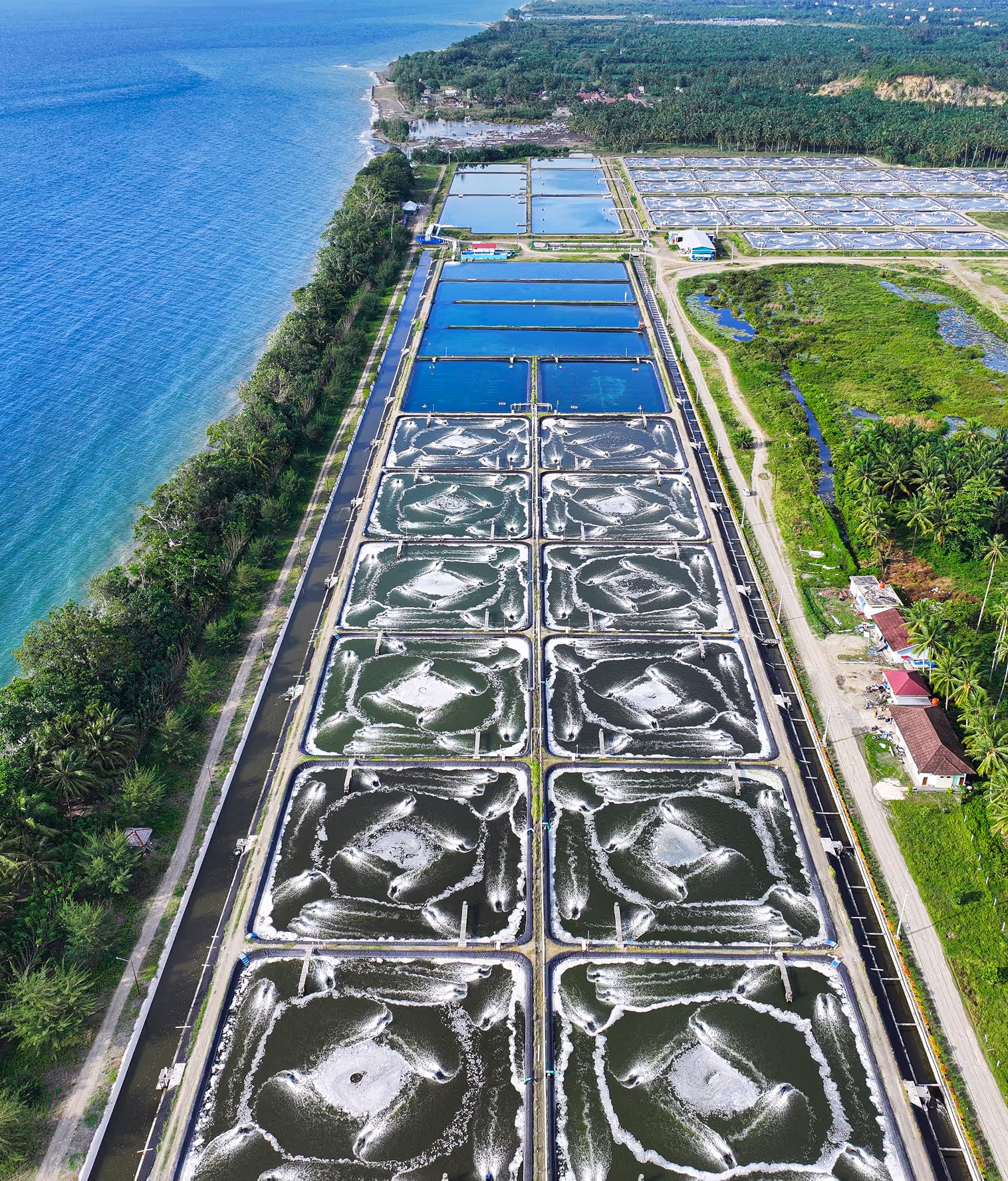 Reliable Supply, Across Continents