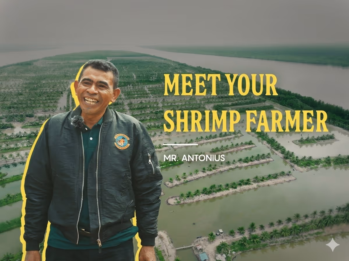 The Wild Harvest of Tarakan: Antonius and the Art of Natural Shrimp Farming