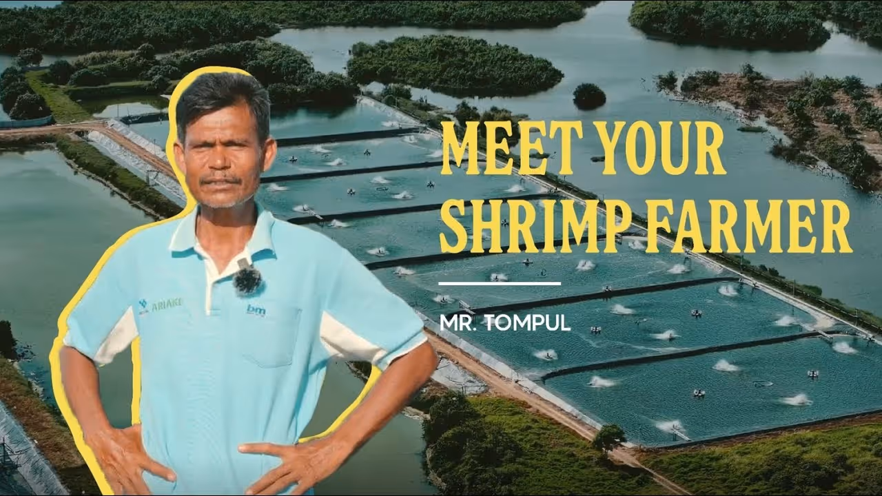 he Sacrifices Behind Shrimp Farming | Farmer Stories: Tompul