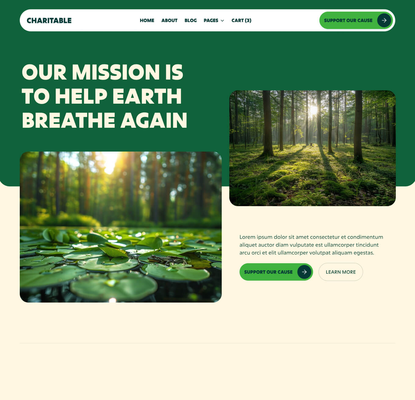 Charitable - About Page - Nonprofit Webflow Template