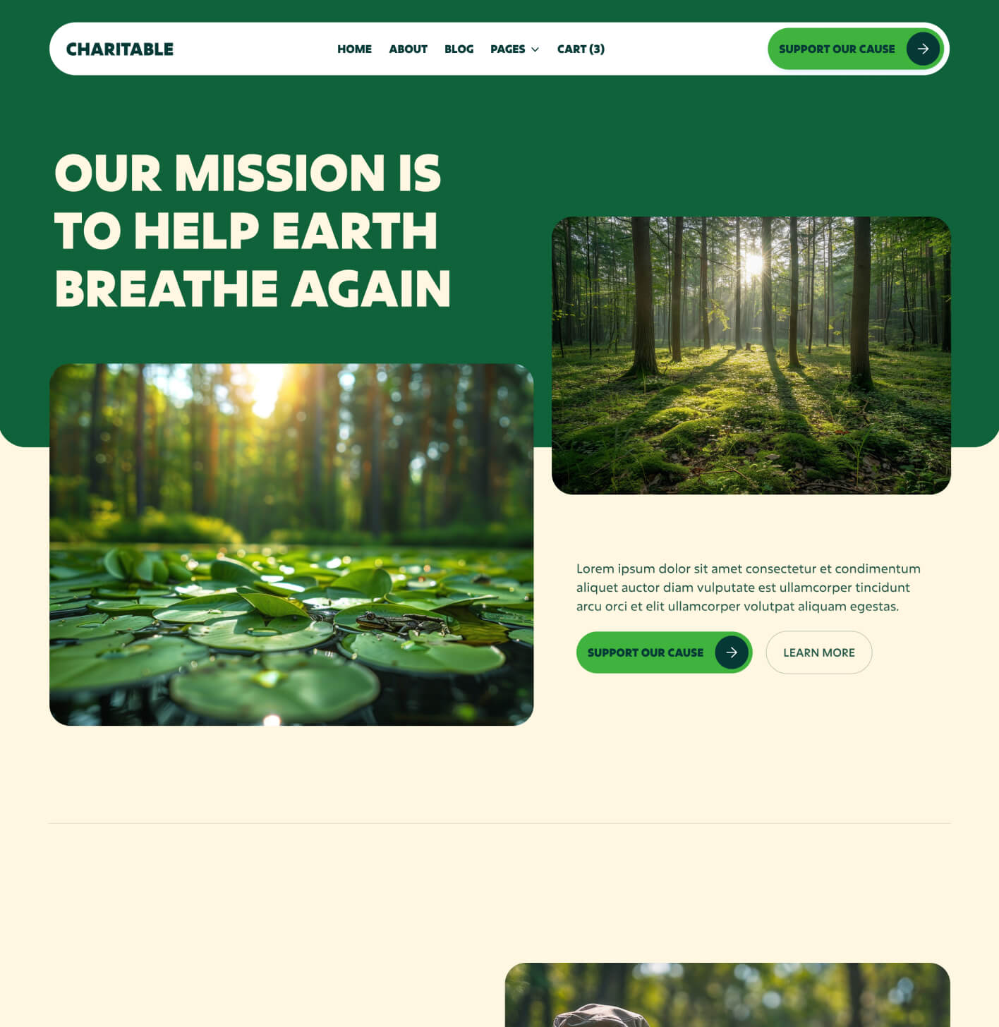 Charitable - About Page - Nonprofit Webflow Template