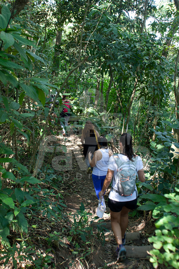 trilha dois irmaos hike 08