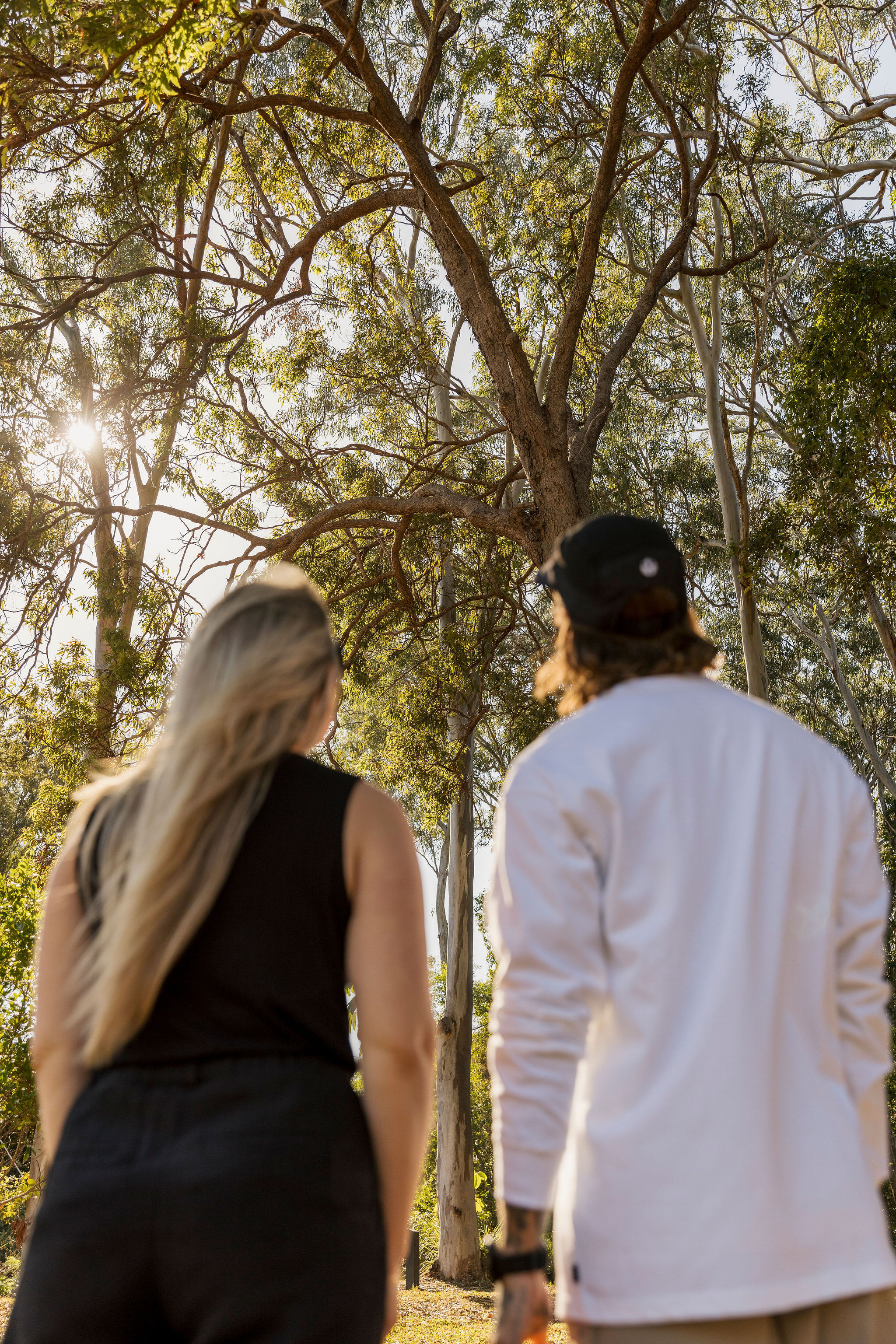 quiet house in amongst mountains