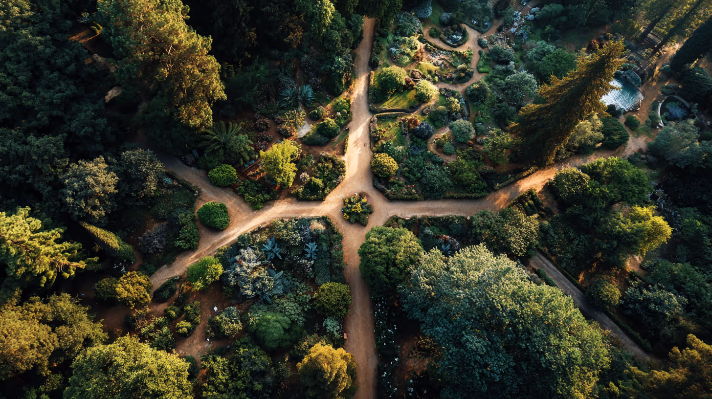 Aerial view of a lush garden with intersecting dirt pathways forming a cross surrounded by dense greenery and trees.