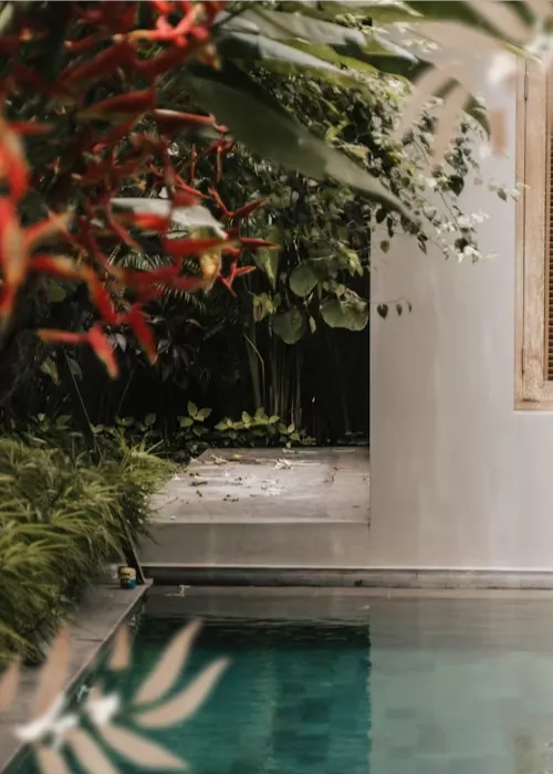 Tranquil outdoor pool beside white wall with lush green plants and red flowers in a serene garden setting.