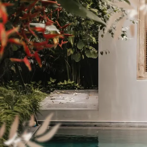 Tranquil outdoor pool beside white wall with lush green plants and red flowers in a serene garden setting.