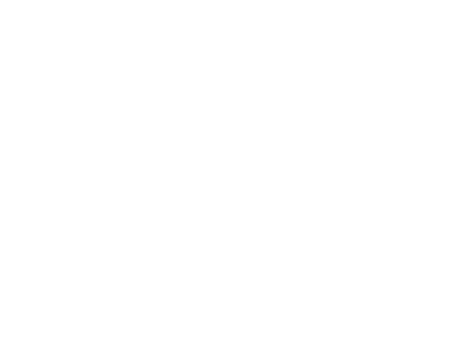 HYX LOGO