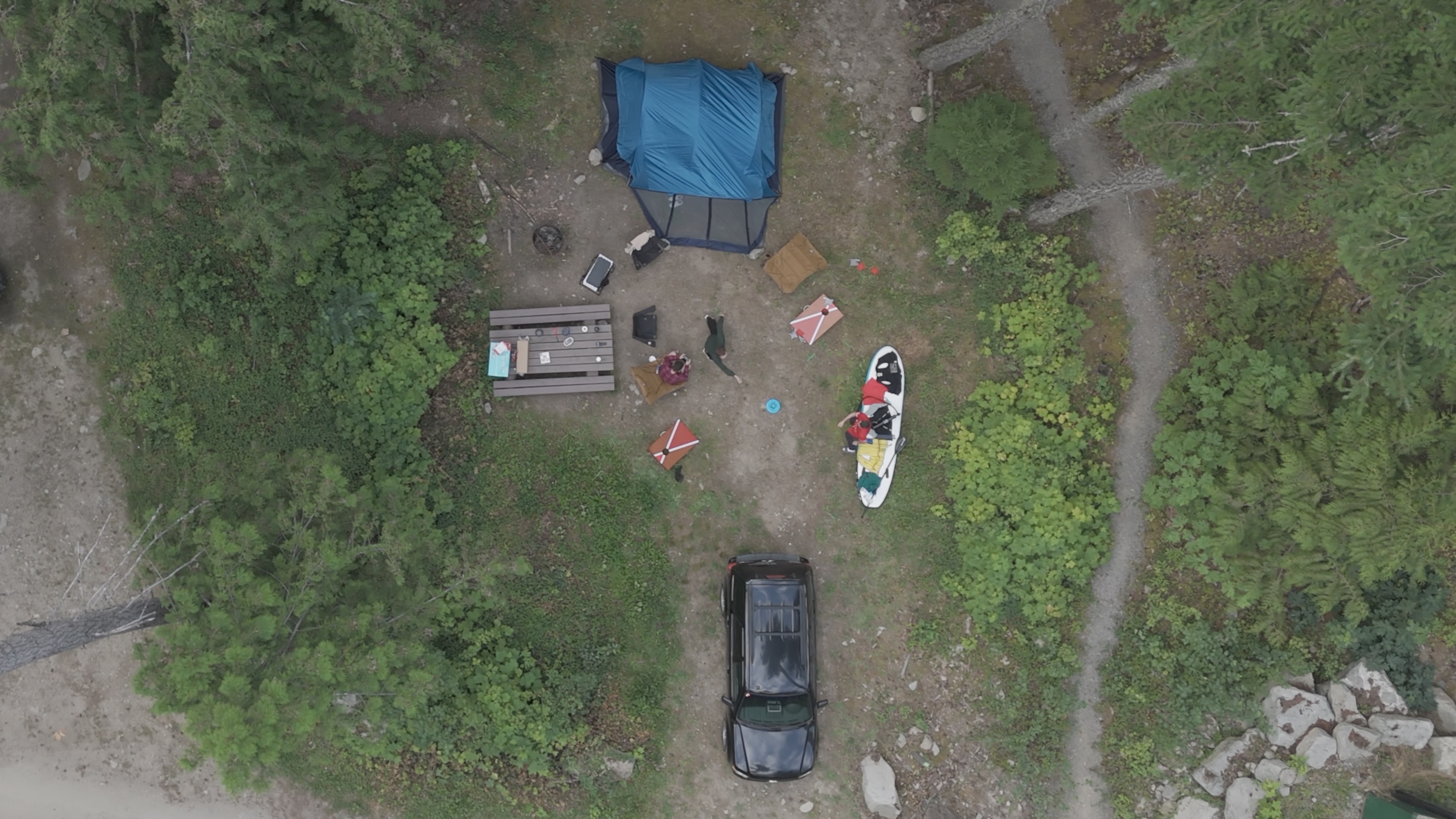 Aerial drone frame of the campsite and surrounding forest