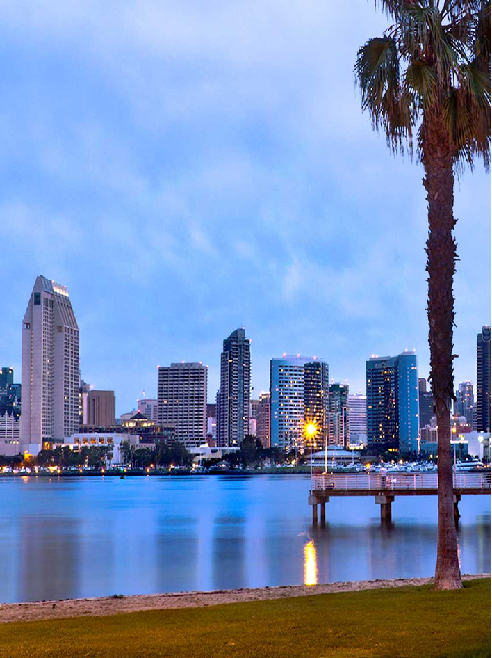 A serene waterfront view of a modern city skyline at dusk, featuring a palm tree and pier.