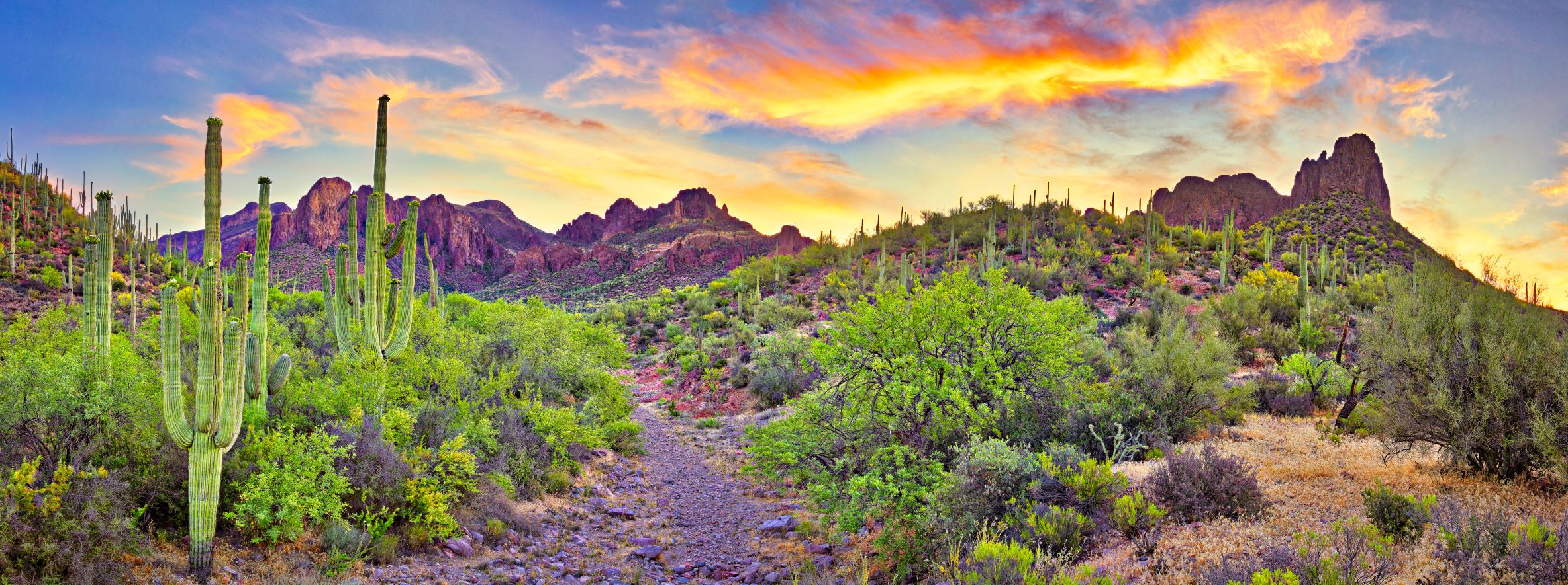 A vibrant desert landscape with cacti, rugged mountains, and a colorful sunset sky.