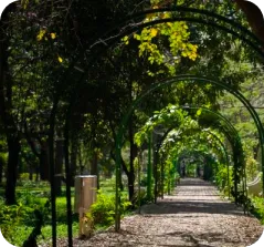 A serene garden pathway with green archways, surrounded by lush trees and vibrant foliage.