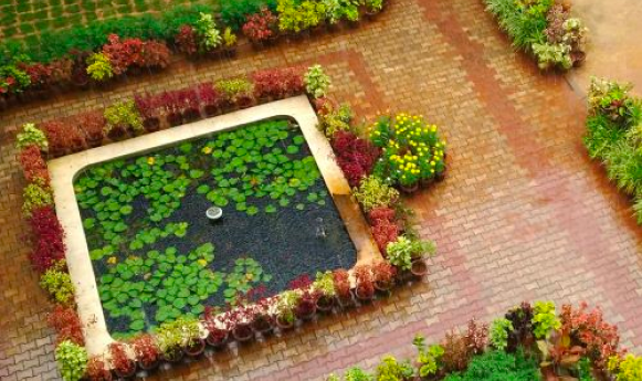 A square pond with lily pads is surrounded by colorful plants on a paved courtyard.