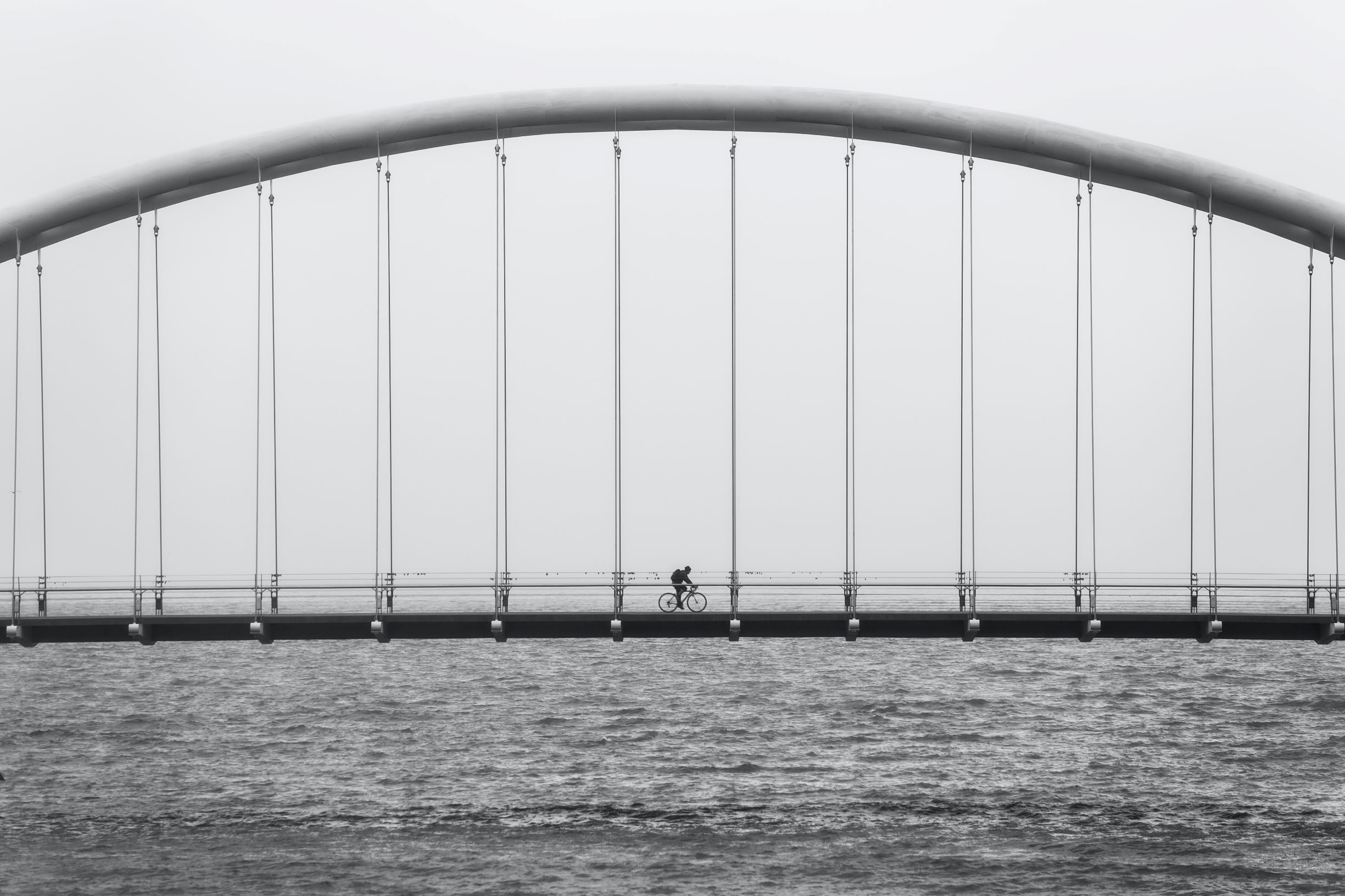 A cyclist crosses a suspension bridge over water, framed by vertical cables and an arched structure.