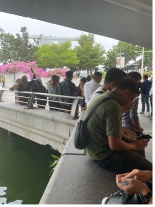 People gather near a bridge surrounded by greenery and vibrant pink flowers on a cloudy day.