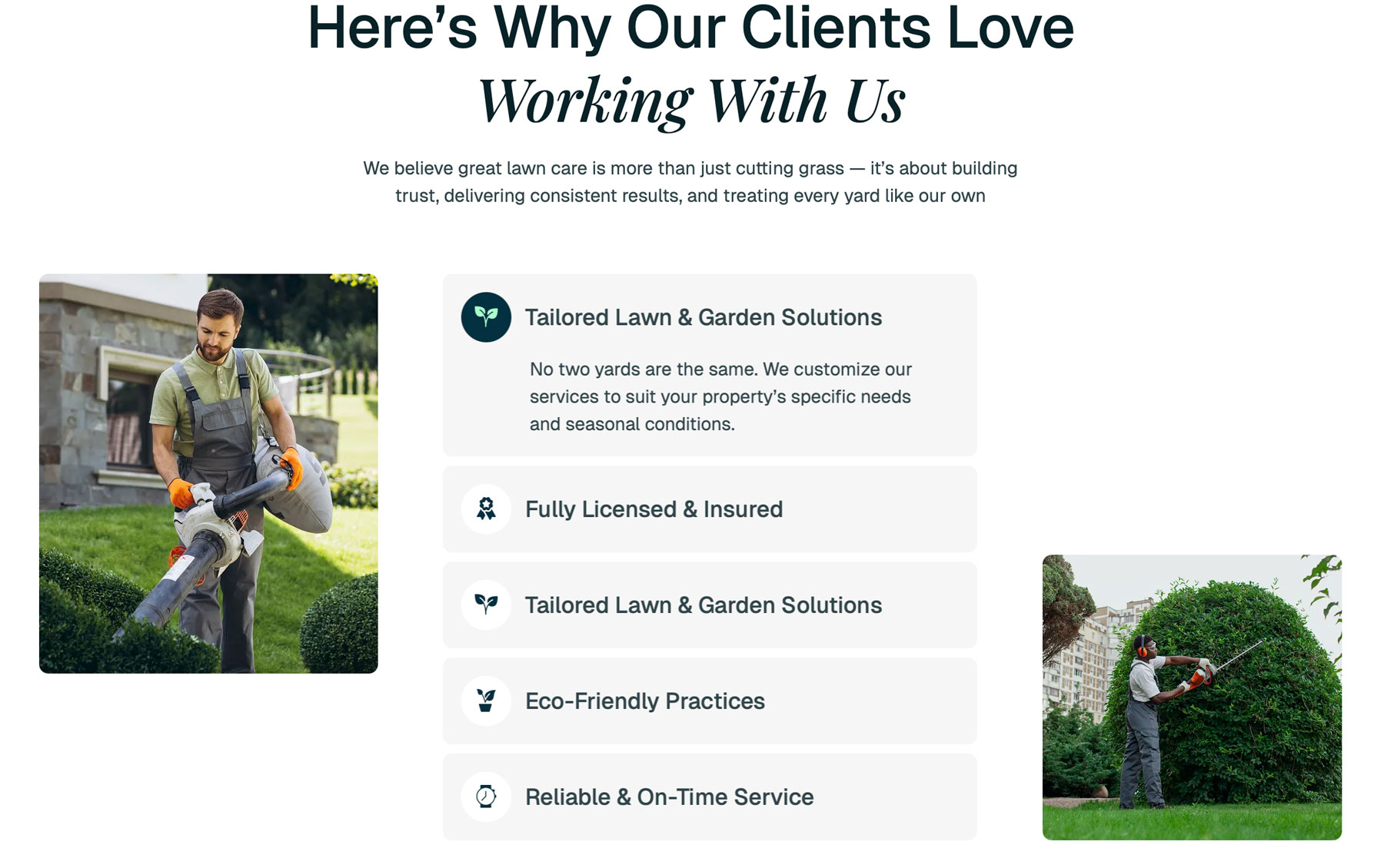 Gallery Single Image