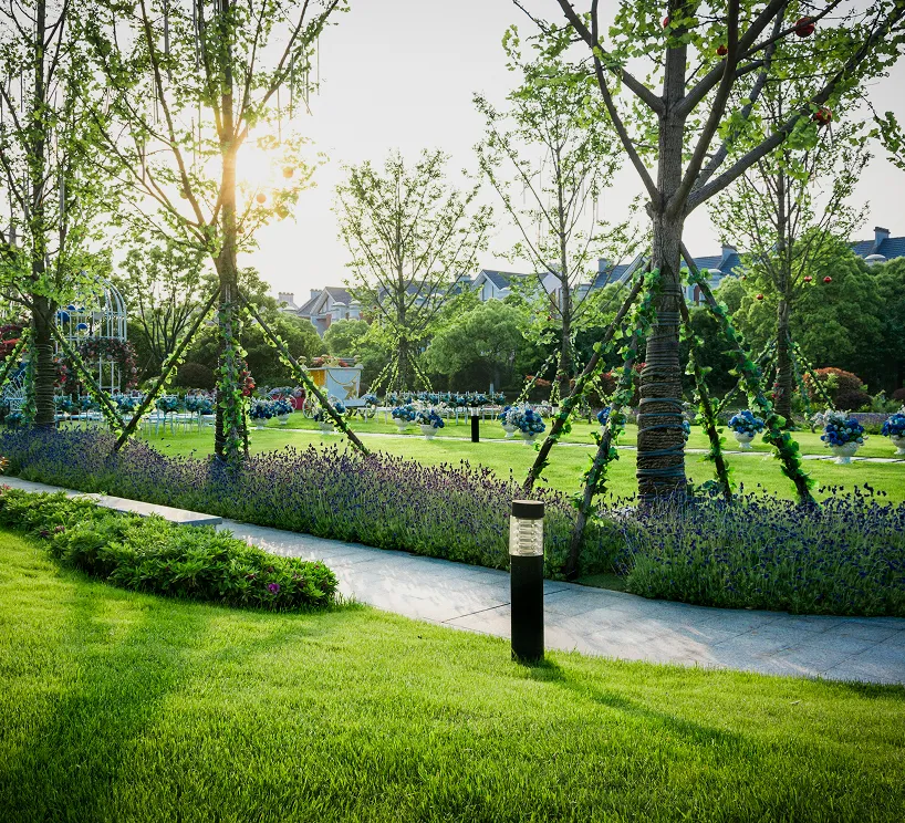 Gallery Single Image