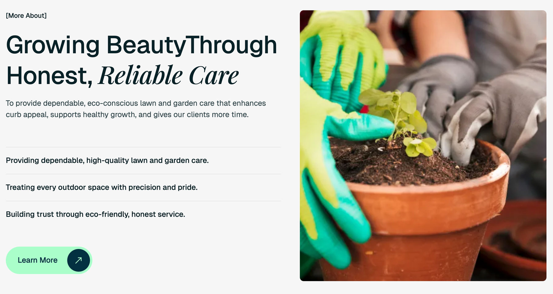 Gallery Single Image