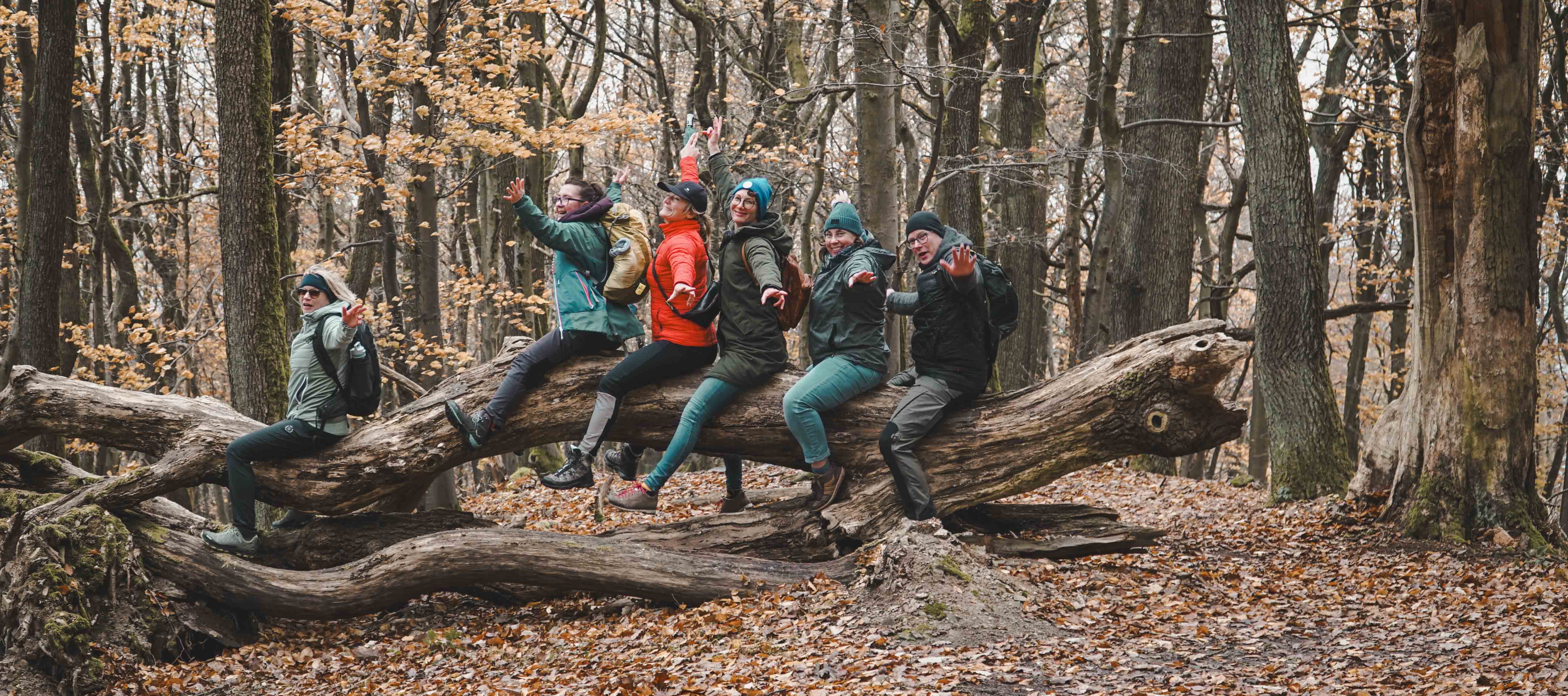 Wandergruppe sitzt auf einem Baumstamm