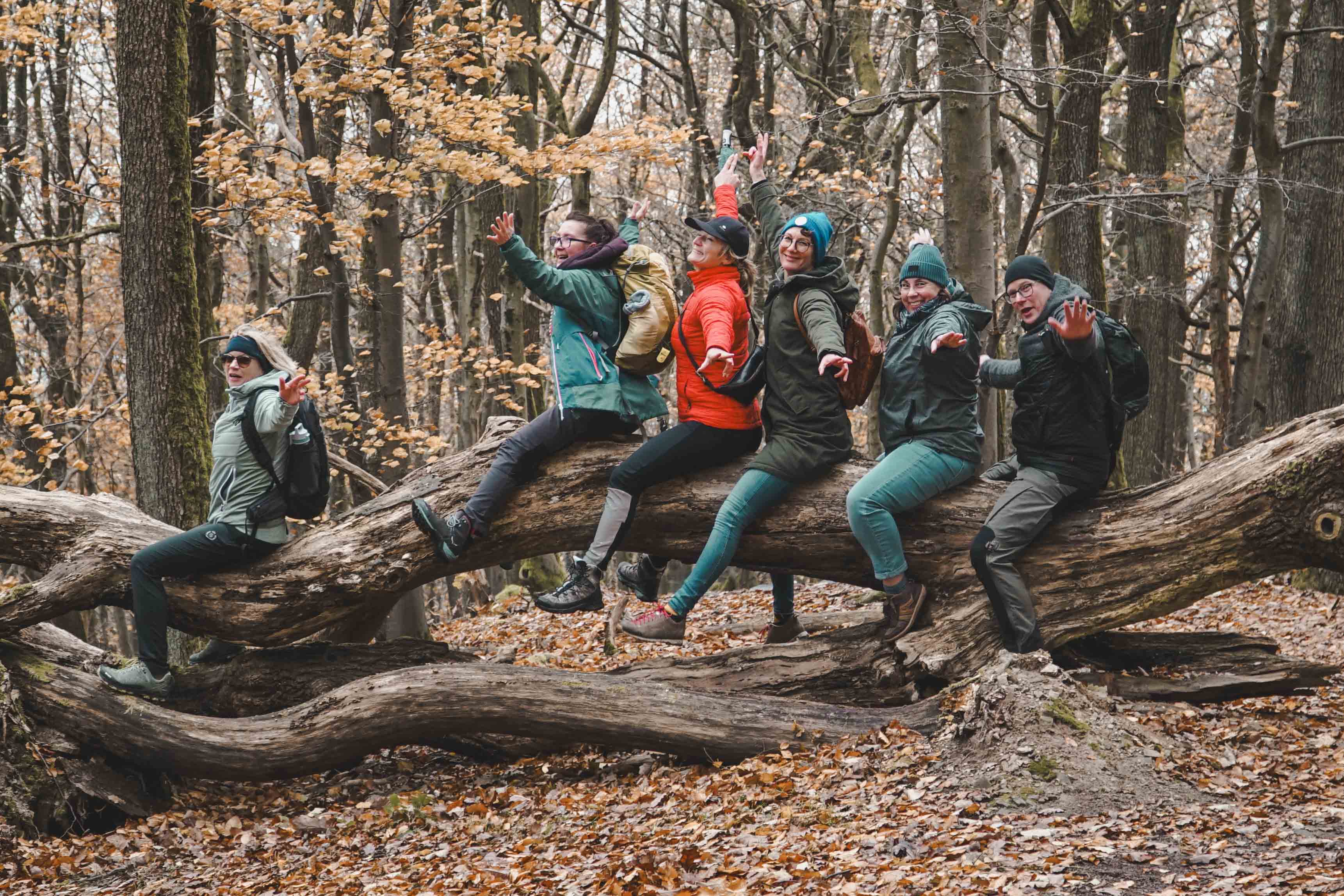 Wandergruppe sitzt auf einem Baumstamm