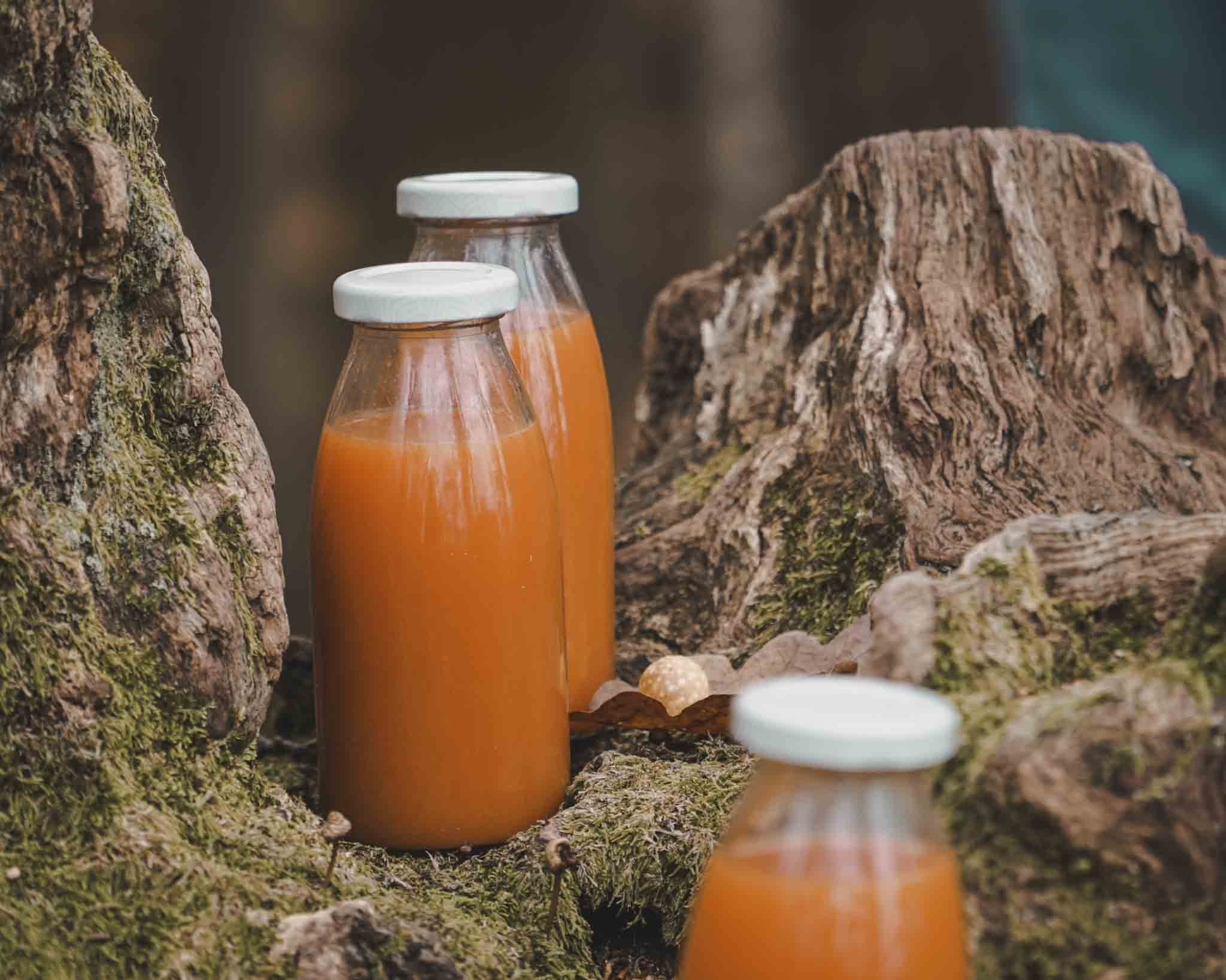 Bio-Fastenverpflegung Saft