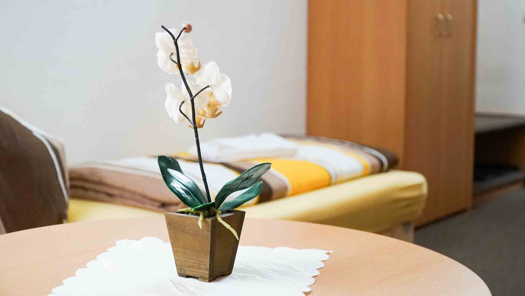 Ansicht von Zimmern im Kleinen Paradies