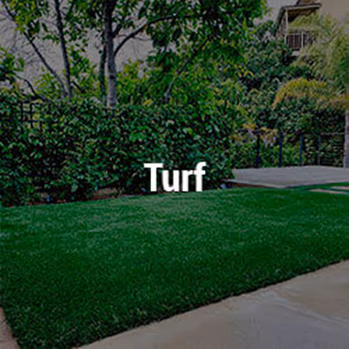 Turf