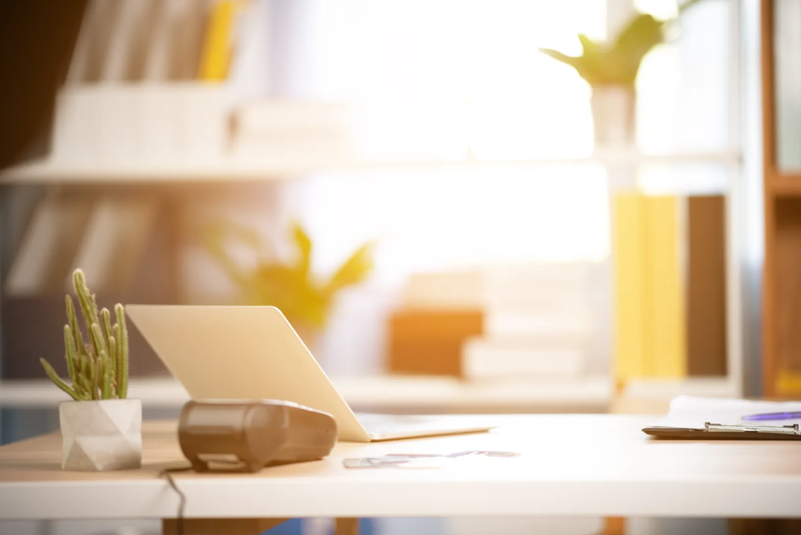 Modern desk with a laptop, a small potted cactus, and a label printer in a sunlit office space.