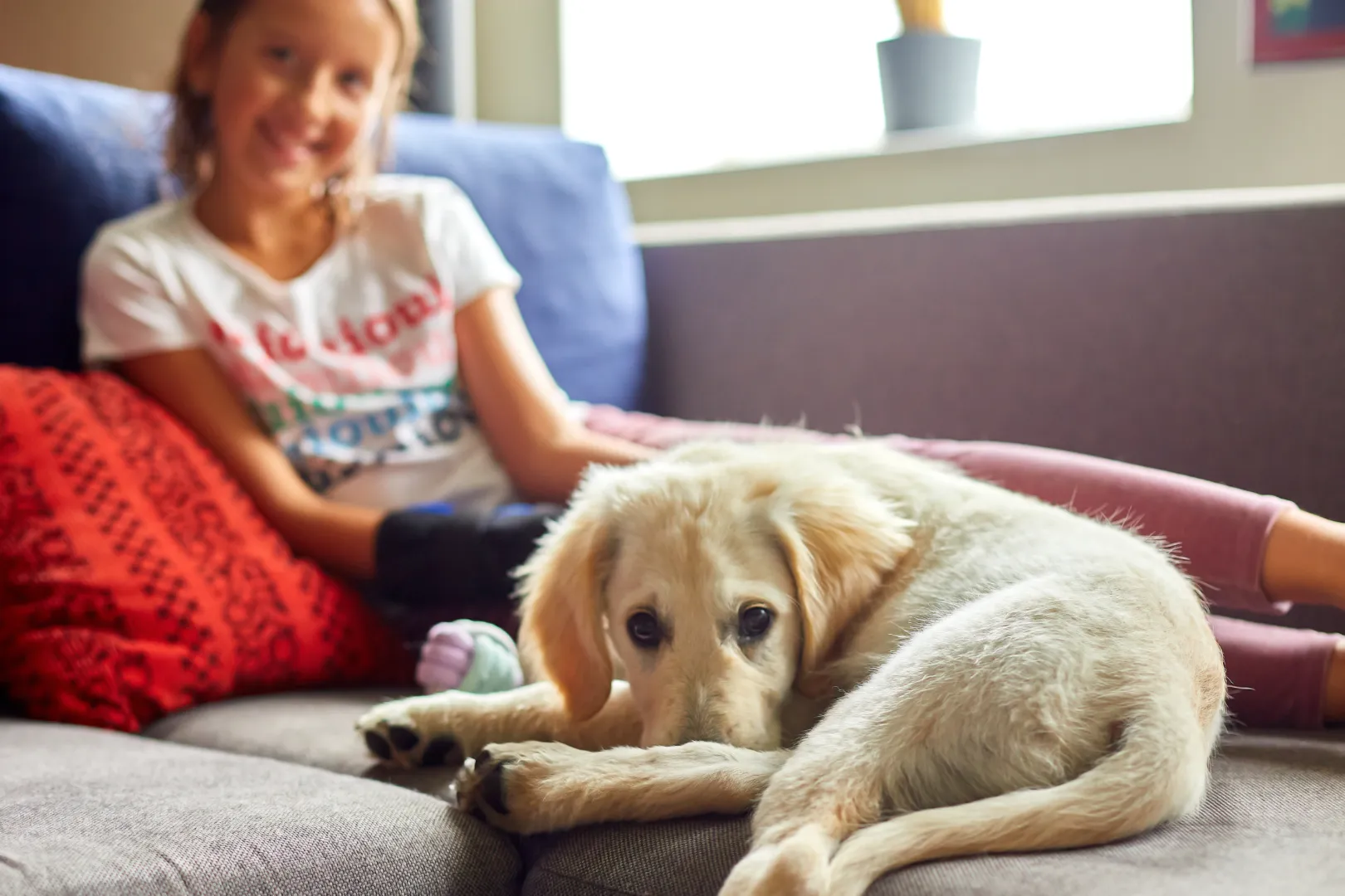 Light-colored puppy lying on a couch with a smiling girl in the background.