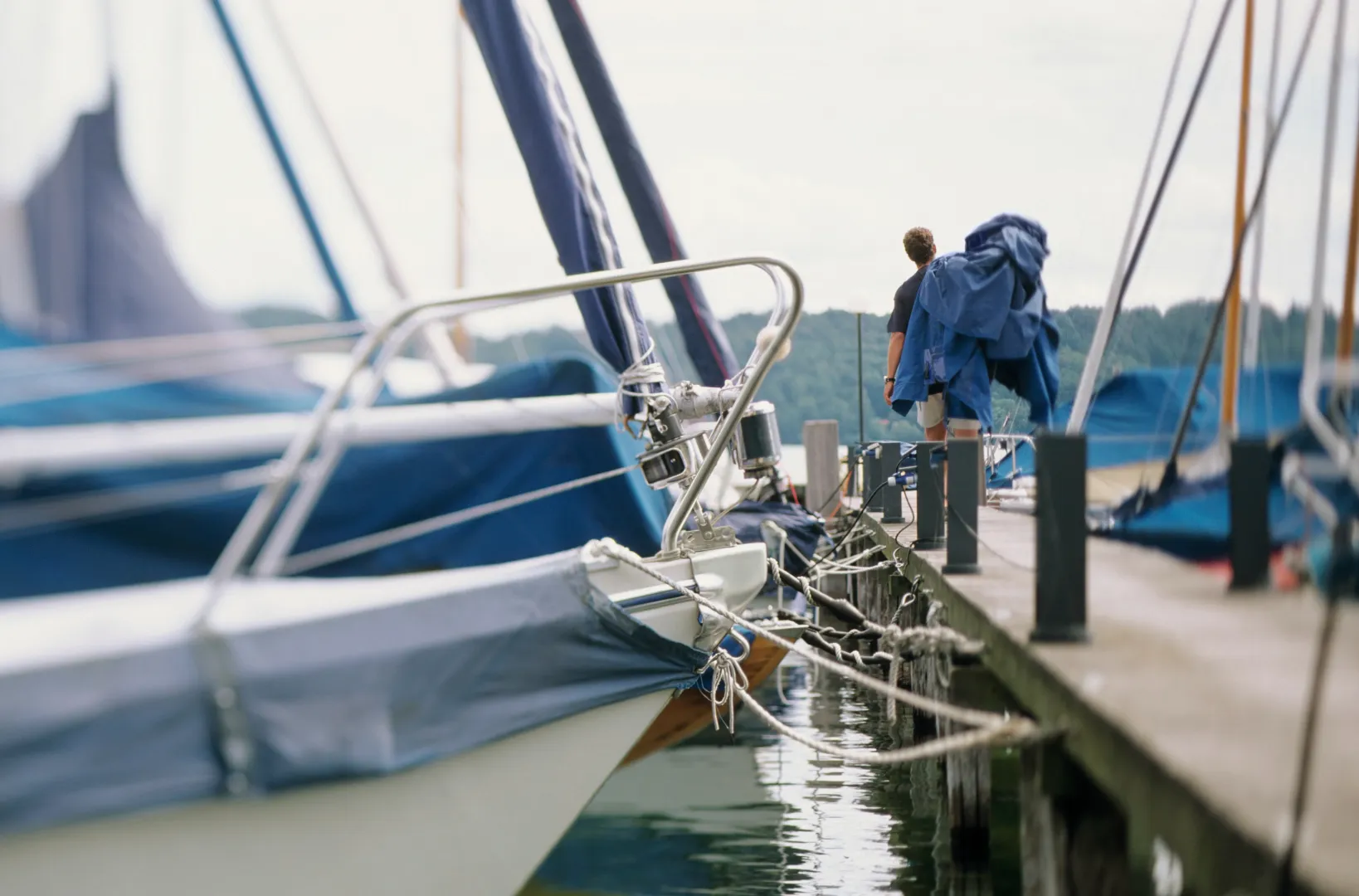 Person carrying a bundle of blue fabric walking on a dock beside moored sailboats with blue covers.