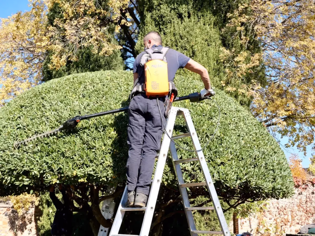 Hiring Domestic Help