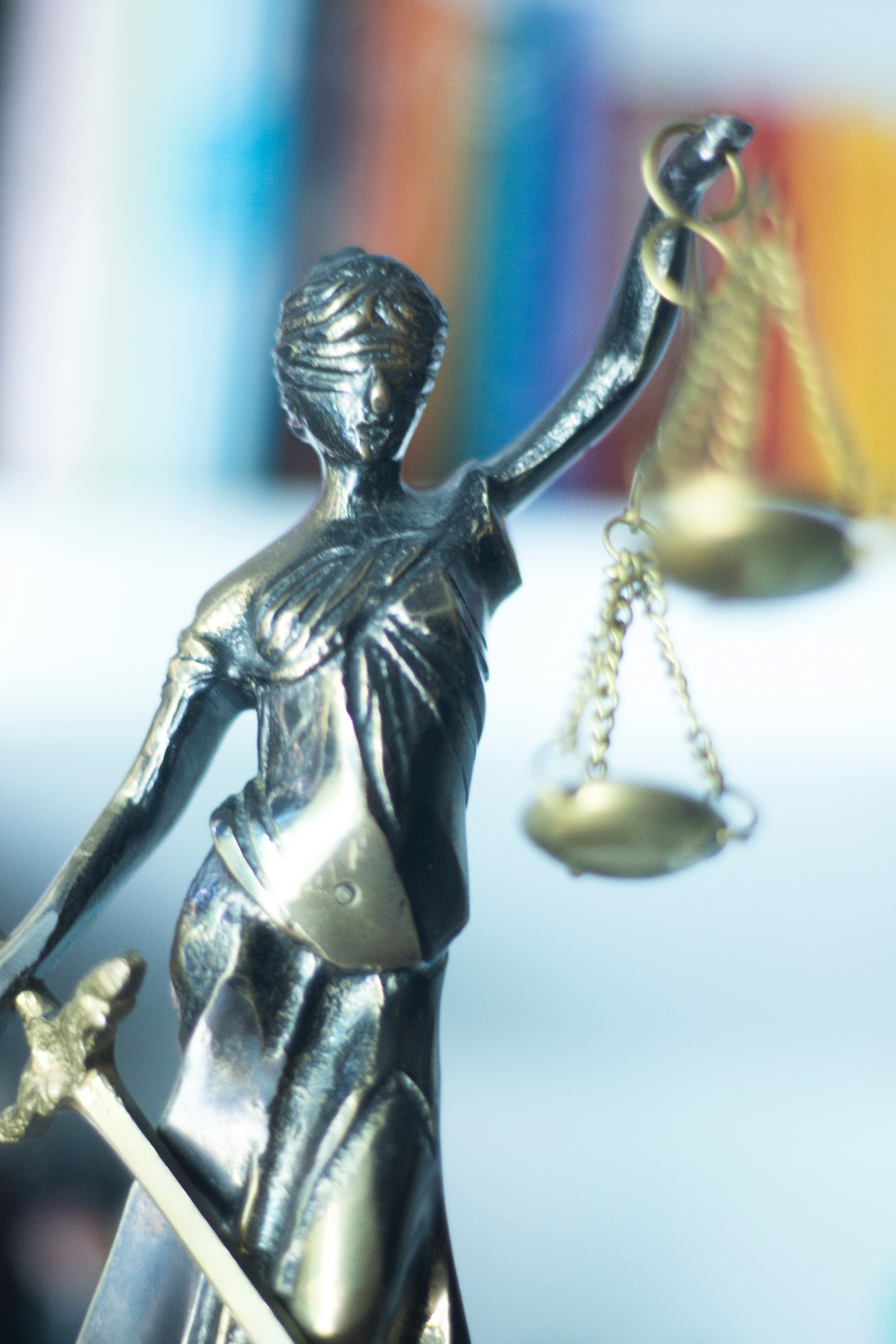 professional process server